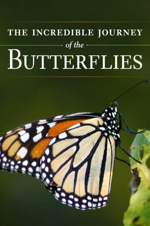 The Incredible Journey of the Butterflies 2009 official movie poster