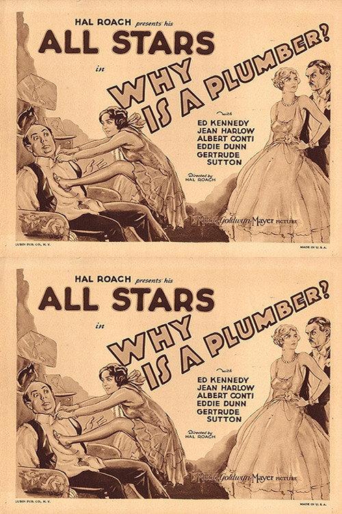 Why Is a Plumber? 1929 official movie poster