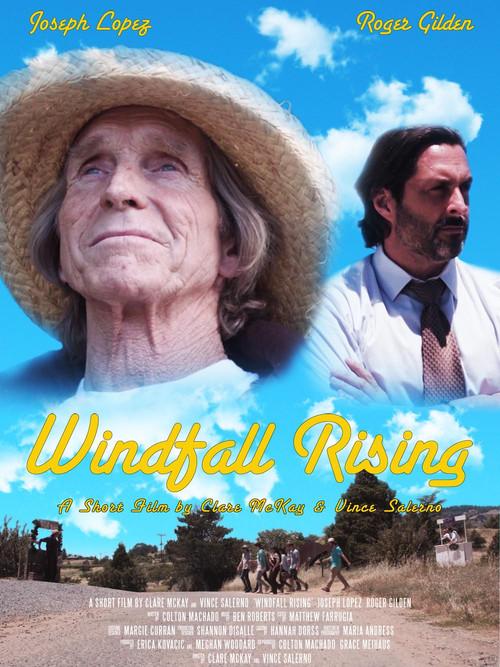 Windfall Rising 2017 official movie poster