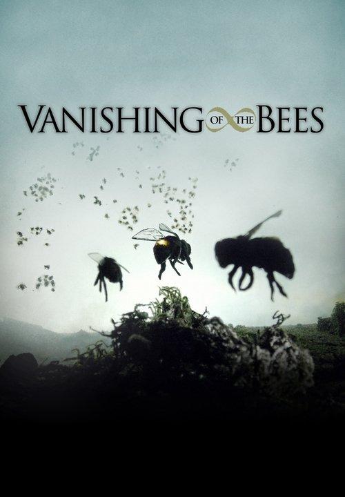 Vanishing of the Bees 2009 official movie poster
