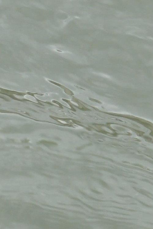 entre les vagues (un hommage) 2023 official movie poster