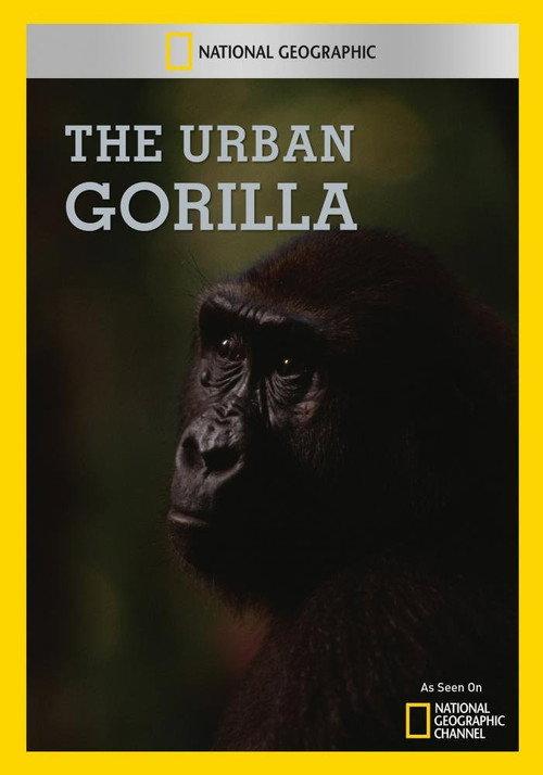 The Urban Gorilla 1991 official movie poster