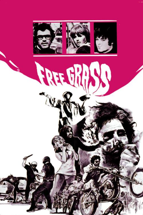 Scream Free! 1969 official movie poster