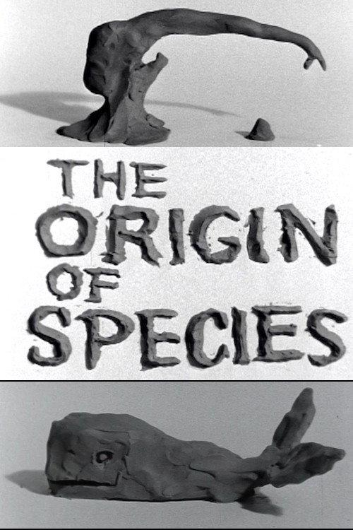 Clay or The Origin of Species 1965 official movie poster