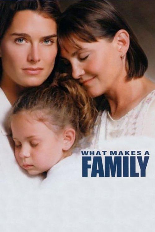 What Makes a Family 2001 official movie poster