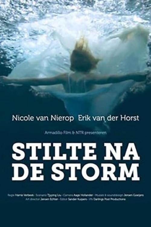 Stilte na de storm 2011 official movie poster