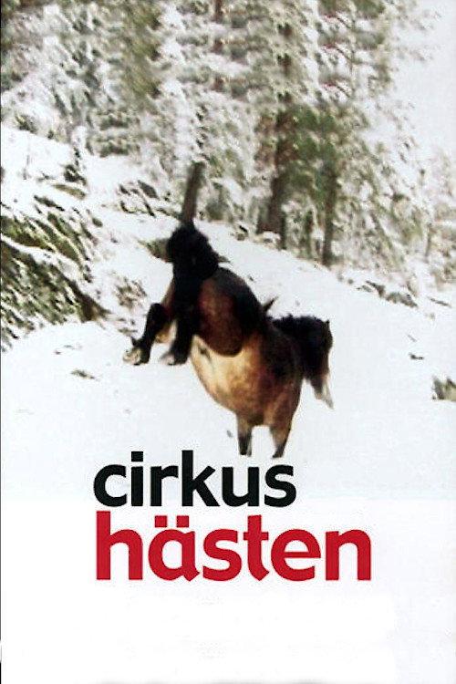 The Circus Horse 2003 official movie poster