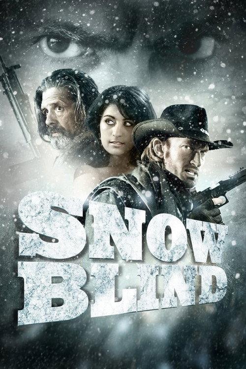 Snowblind 2010 official movie poster