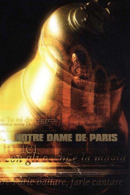 Notre Dame de Paris - Live Arena di Verona 2002 official movie poster
