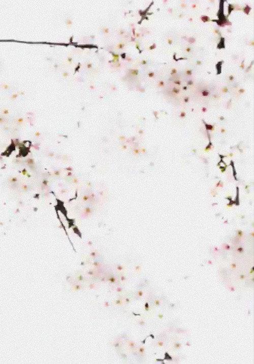 Cherry Blossoms Nakameguro 2016 official movie poster