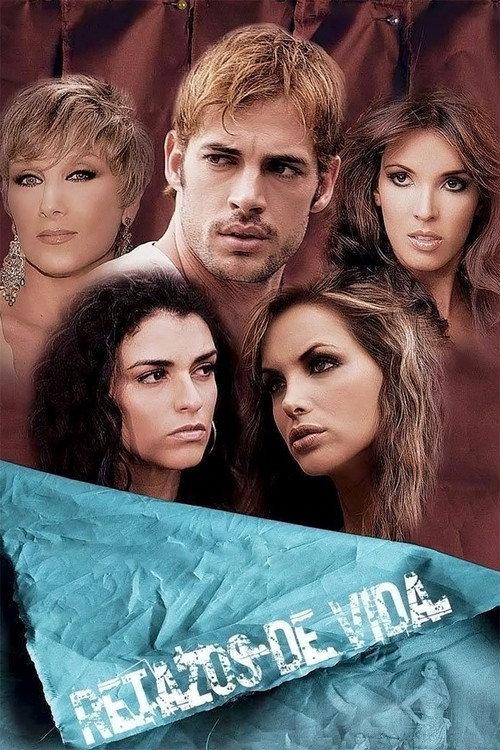 Scraps of Life 2008 official movie poster