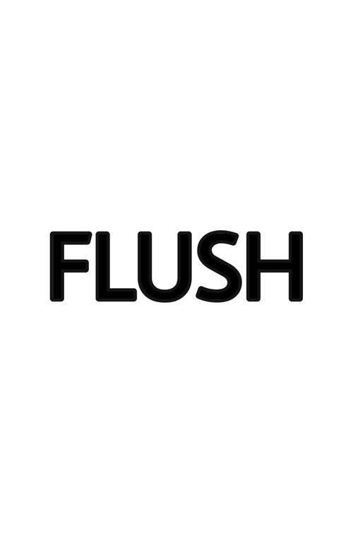 Flush 2003 official movie poster