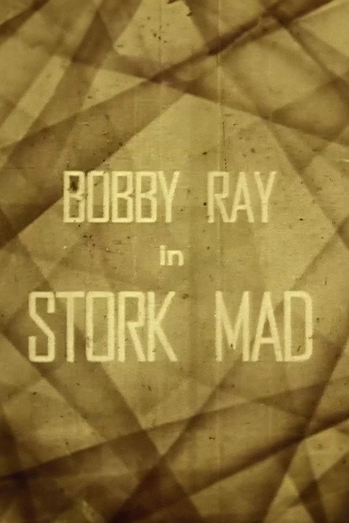 Stork Mad 1926 official movie poster