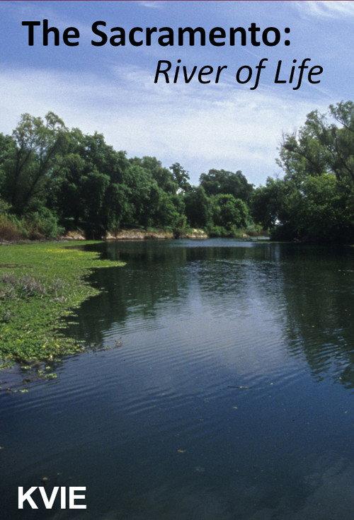 The Sacramento River of Life 2005 official movie poster