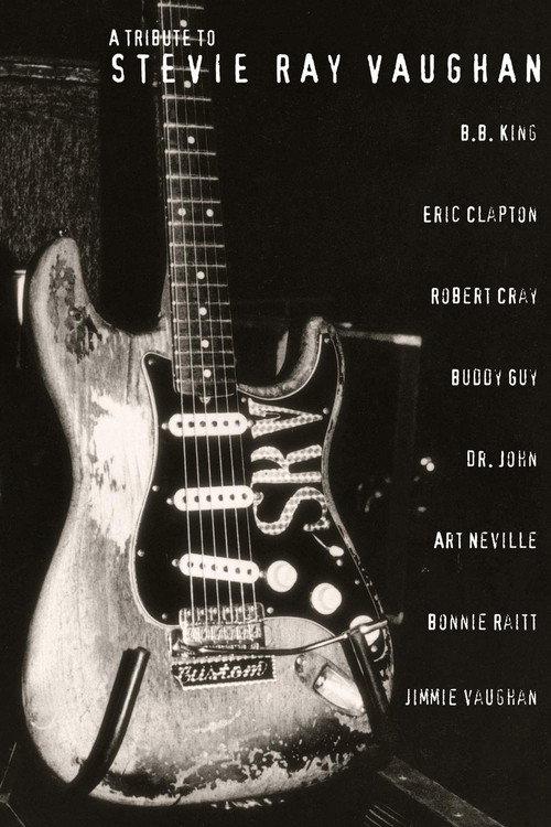 A Tribute to Stevie Ray Vaughan 1996 official movie poster