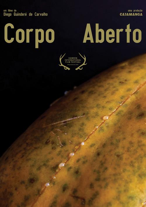 Corpo Aberto 2019 official movie poster