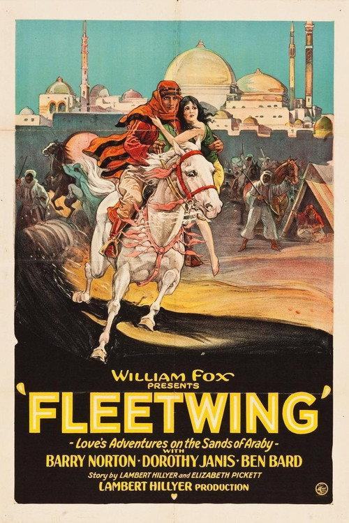 Fleetwing 1928 official movie poster