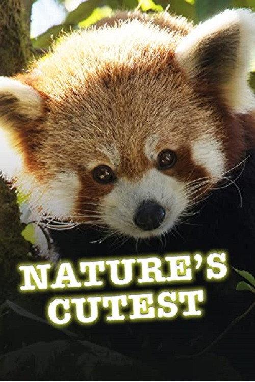 Nature's Cutest 2021 official movie poster