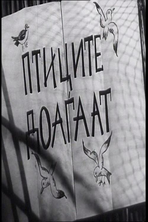 The Birds Are Coming 1956 official movie poster