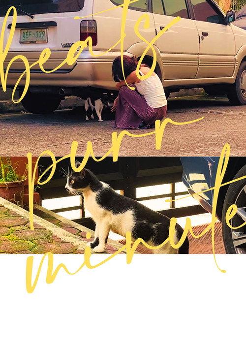 beats purr minute 2024 official movie poster