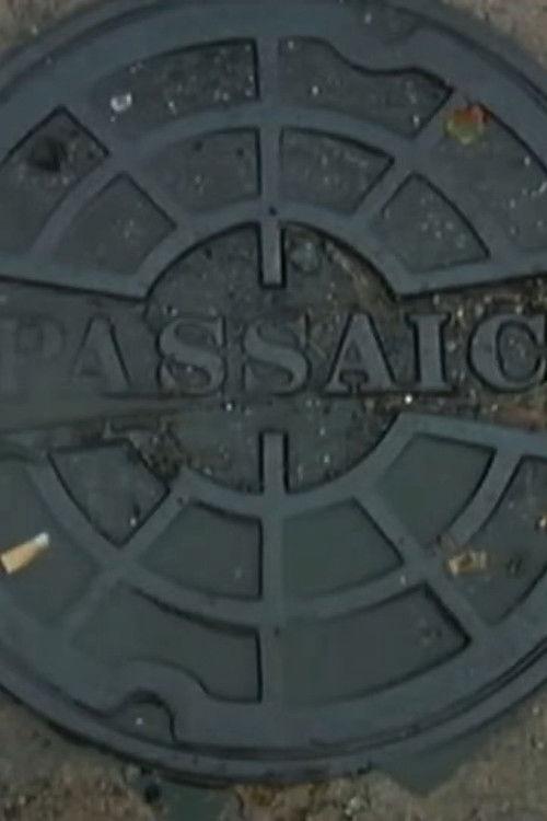 Passaic Mosaic 2008 official movie poster