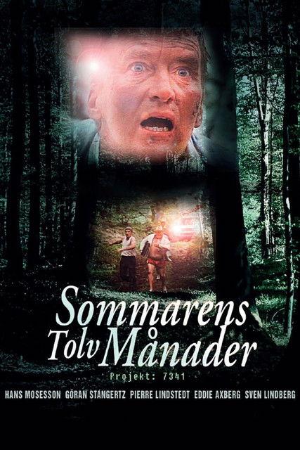 The Twelve Months of the Summer 1988 official movie poster