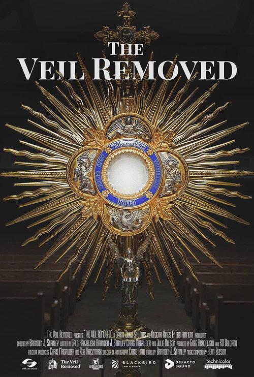 The Veil Removed 2019 official movie poster