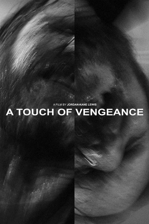 A Touch of Vengeance 2022 official movie poster