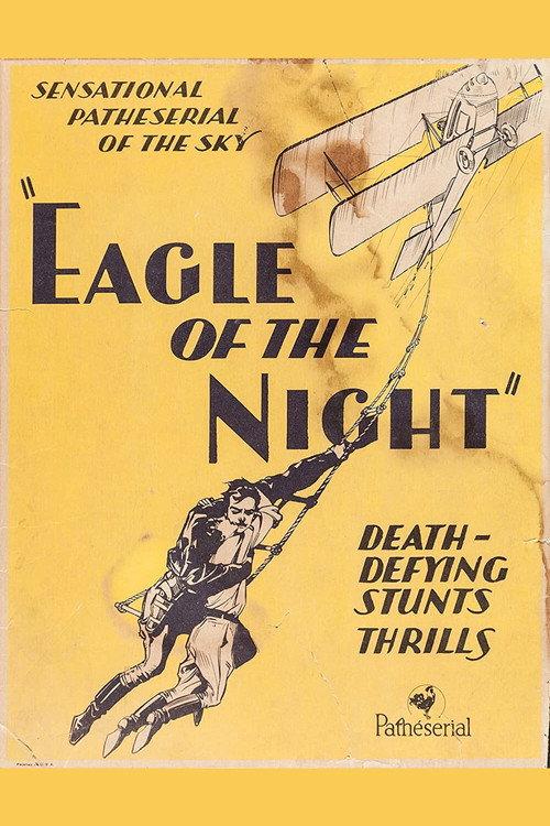 Eagle of the Night 1928 official movie poster