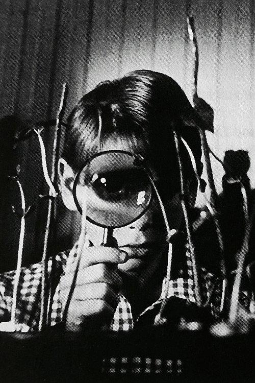 Vinaya 1992 official movie poster