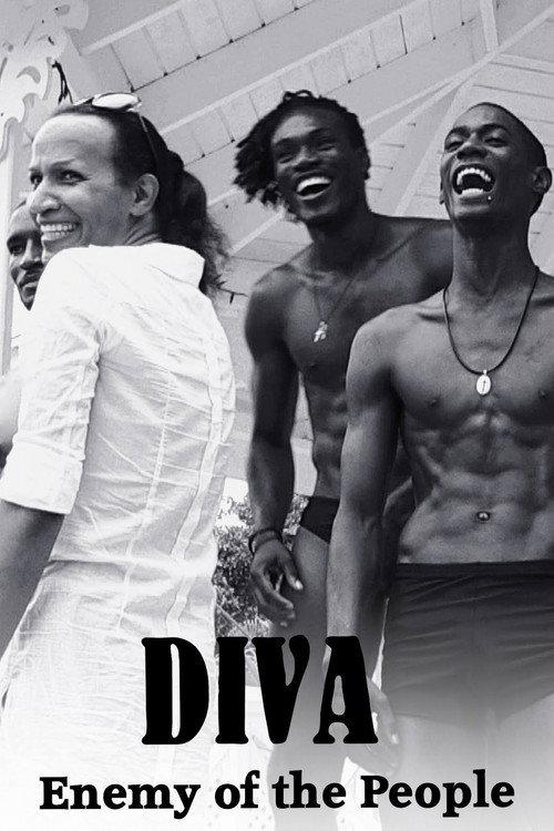Diva: Enemy of the People 2016 official movie poster