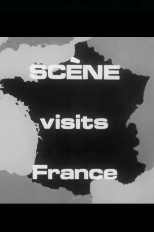 The French Scene 1973 official movie poster