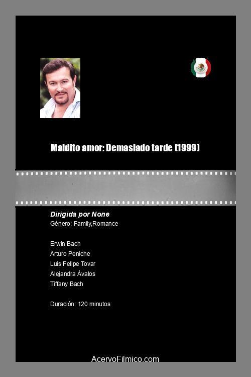 Maldito amor: Demasiado tarde 1999 official movie poster