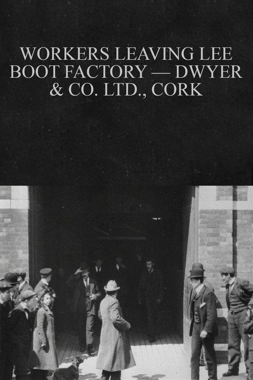 Workers Leaving Lee Boot Factory — Dwyer & Co. Ltd., Cork 1902 official movie poster