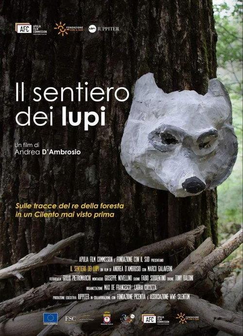 Il sentiero dei lupi 2023 official movie poster