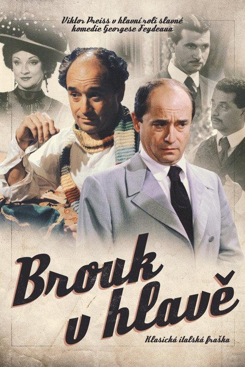 Brouk v hlavě 2003 official movie poster