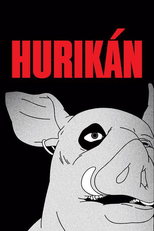 Huricane 2024 official movie poster