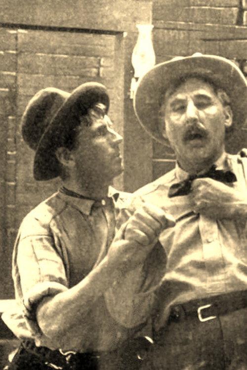 The Stage Driver's Daughter 1911 official movie poster