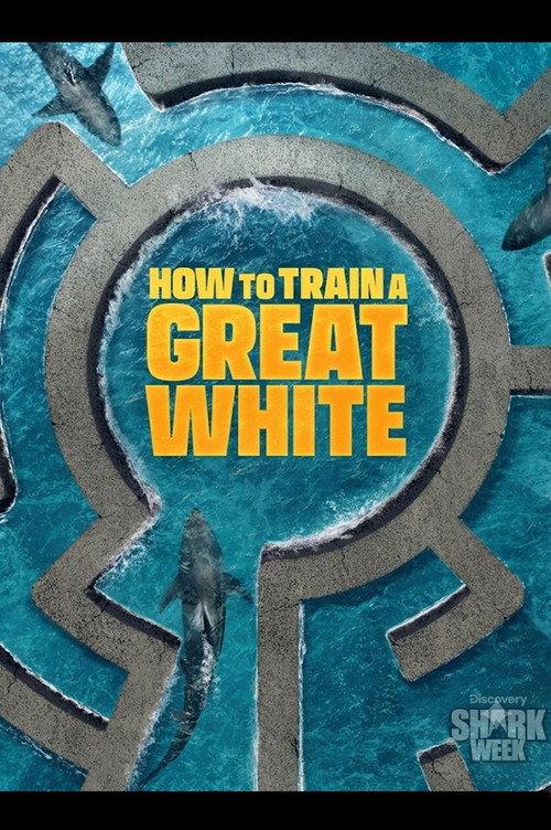 How to Train a Great White 2026 official movie poster