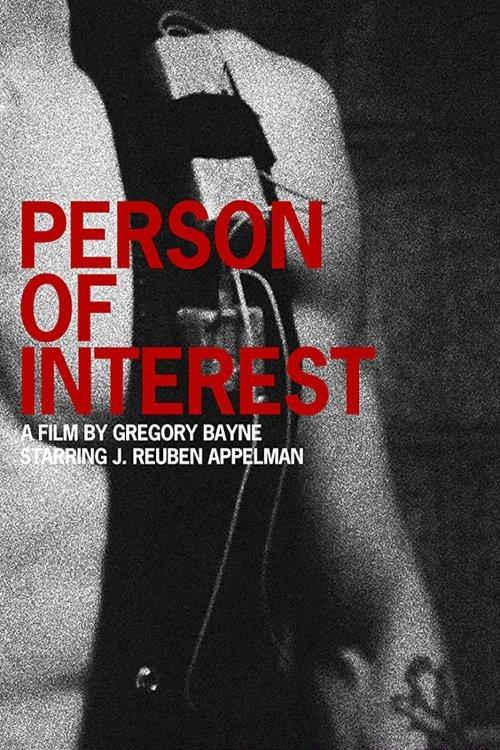 Person of Interest 2010 official movie poster