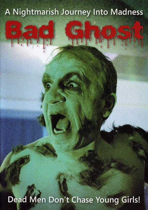 Bad Ghost 2008 official movie poster