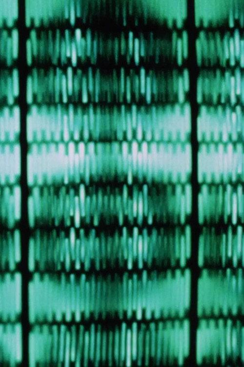 Kinetics 1972 official movie poster