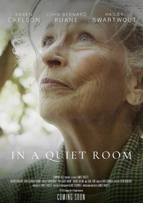 In a quiet room 2024 official movie poster