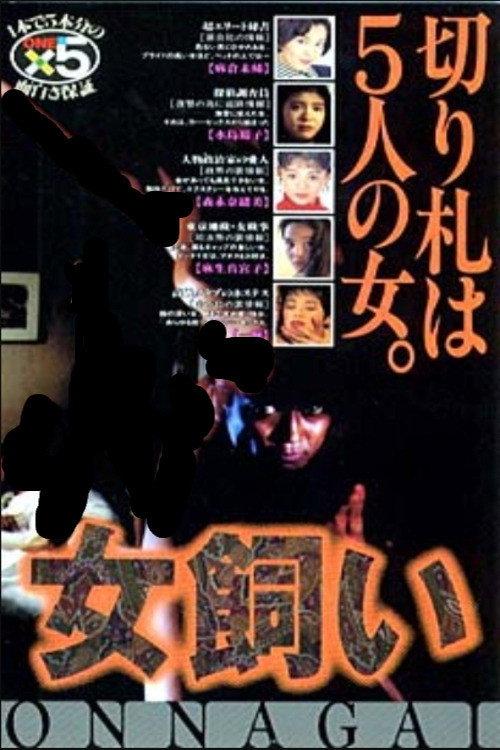 The Woman Tamer 1995 official movie poster