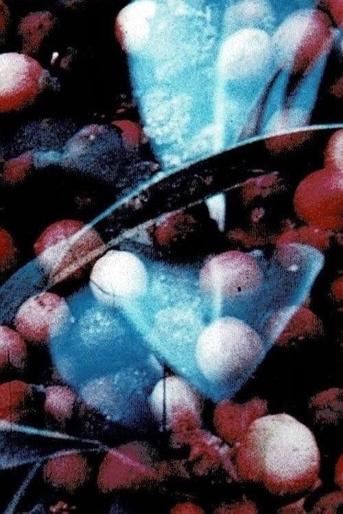 Bark-Rind 1977 official movie poster