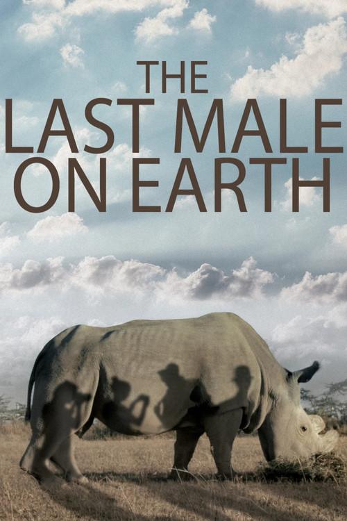 The Last Male on Earth 2019 official movie poster