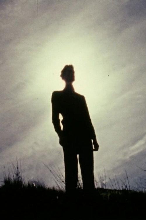 The Secret 1973 official movie poster
