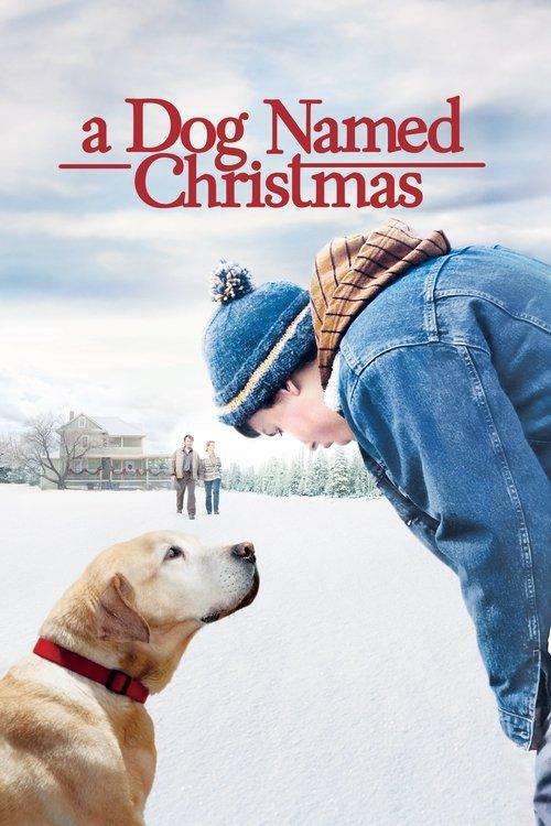 A Dog Named Christmas 2009 official movie poster
