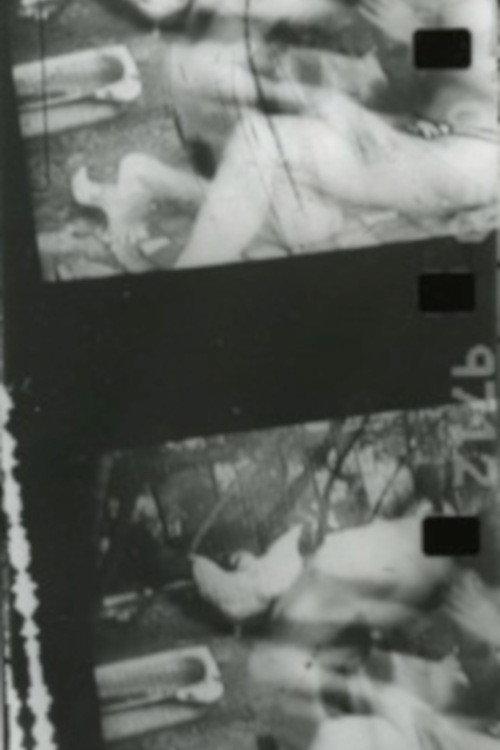 When Bodies Touch 2012 official movie poster