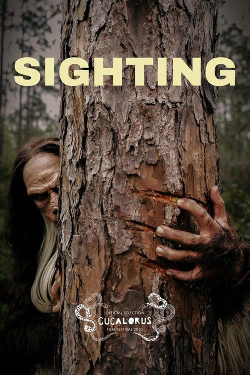 Sighting 2025 official movie poster